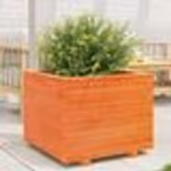 vidaXL Jardinière cire marron 60x60x49,5 cm bois de pin massif