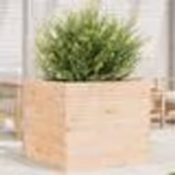 vidaXL Jardinière 80x80x68,5 cm bois de pin massif