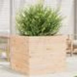 vidaXL Jardinière 80x80x68,5 cm bois de pin massif