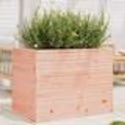 vidaXL Jardinière 90x60x68,5 cm bois massif douglas