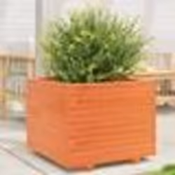 vidaXL Jardinière cire marron 60x60x49,5 cm bois de pin massif