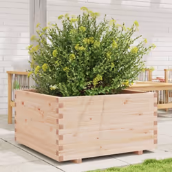 Cette jardinière sera parfaite pour les amateurs de bricolage pour décorer les jardins, les balcons ou les patios. Bois de pi ...