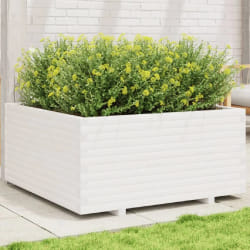 VidaXL 3282540 pot à fleurs Pin Blanc