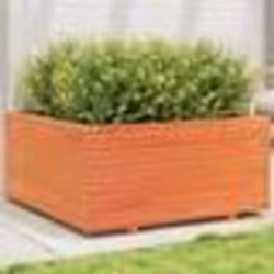 vidaXL Jardinière cire marron 100x100x49,5 cm bois de pin massif