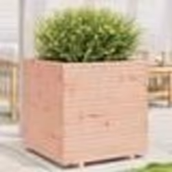 vidaXL Jardinière 70x70x72,5 cm bois massif de douglas