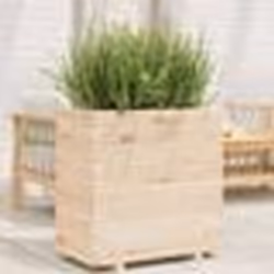 vidaXL Jardinière 70x40x72 cm bois de pin massif