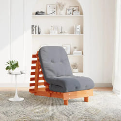 vidaXL Canapé-lit futon - 60 x 206 cm