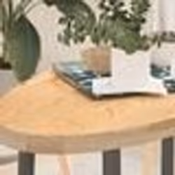 vidaXL Dessus de table 100x50x4 cm bois de chêne massif ovale