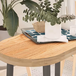 VidaXL 4009065 pièce de table