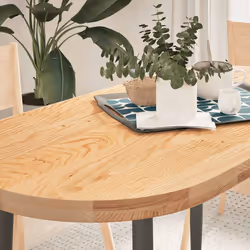 VidaXL 4009067 pièce de table