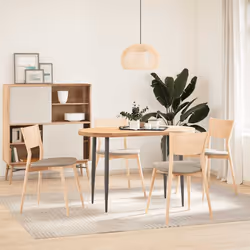 VidaXL 4009067 pièce de table