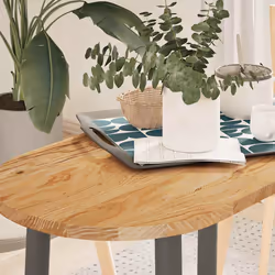 VidaXL 4009069 pièce de table