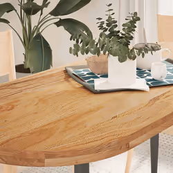 VidaXL 4009076 pièce de table