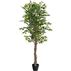 Vidaxl - Citronnier artificiel avec 3 troncs vert 180 cm pp