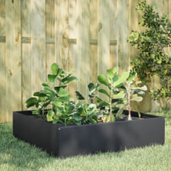 Vidaxl - Lit surélevé de jardin anthracite 100x100x25 cm acier
