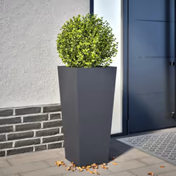 Cette jardinière est un excellent choix pour contenir vos plantes ou fleurs préférées et les ajouter à vos jardins, balcons o ...