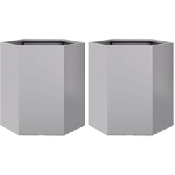 Vidaxl - Jardinières 2 pcs hexagone 46x40x45 cm acier galvanisé