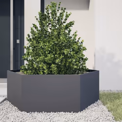 La jardinière est idéale pour cultiver une variété de vos fleurs et plantes préférées dans votre jardin et tout espace de vie ...
