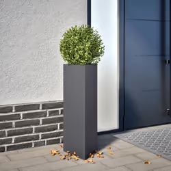 Cette jardinière est un excellent choix pour contenir vos plantes ou fleurs préférées et les ajouter à vos jardins, balcons o ...