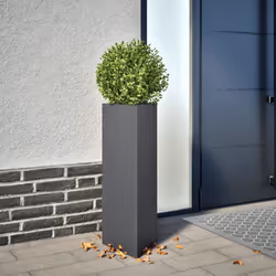 Cette jardinière est un excellent choix pour contenir vos plantes ou fleurs préférées et les ajouter à vos jardins, balcons o ...