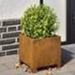 vidaXL Jardinières 2 pcs 30x30x30 cm acier résistant aux intempéries