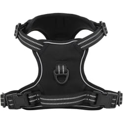 Harnais pour chien avec laisse et collier réglables noir s Vidaxl