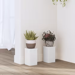 Ces supports pour plantes sont parfaits pour mettre en valeur vos plantes et autres objets décoratifs. Matériau stable et dur ...