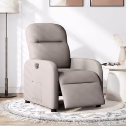 VidaXL 3302959 fauteuil