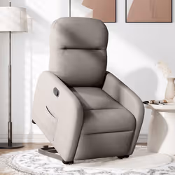 VidaXL 3302979 fauteuil