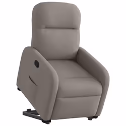 VidaXL 3302979 fauteuil