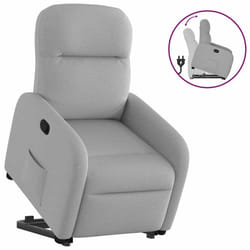 VidaXL 3302981 fauteuil