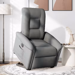 VidaXL 3303274 fauteuil