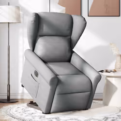 VidaXL 3303394 fauteuil