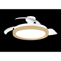 Philips Ventilateur de plafond Bliss