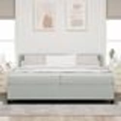 Lit coffre vidaXL avec matelas Gris clair 200x200 cm Velours 3340352