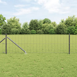 vidaXL Clôture Euro avec 13 poteaux à pointe 0.6x50 m Acier galvanisé gris