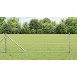 vidaXL Clôture Euro avec 7 piquets à pointe 0.8x10 m Acier galvanisé