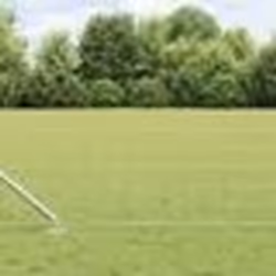 vidaXL Clôture Euro avec 7 poteaux en pointe 0.4x10 m en acier galvanisé