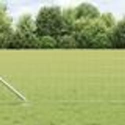 vidaXL Clôture Euro avec 13 poteaux en piquet 0.4x50 m en acier galvanisé