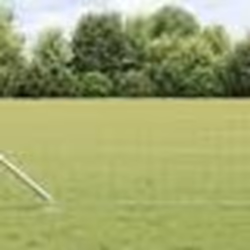 vidaXL Clôture Euro avec 13 poteaux piqués 0.6x50 m en Acier galvanisé