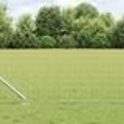 vidaXL Clôture Euro avec 7 piquets pointus 0,8x10 m Acier galvanisé