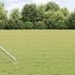vidaXL Clôture Euro avec 13 poteaux à ancre en pointe 0.4x50 m en acier galvanisé