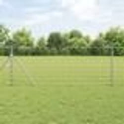 vidaXL Clôture de jardin 0,8 x 50 m en acier galvanisé
