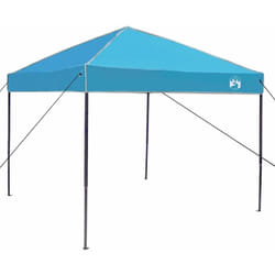 Tente à auvent pop-up Bleu 250 x 250 cm tissu Vidaxl