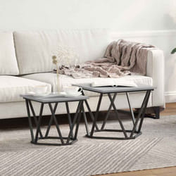 Vidaxl - Ensemble de tables d'appoint 2 pcs Sonoma gris 50 x 50 x 40 cm
