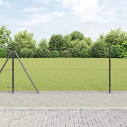 vidaXL Set de clôtures 2 pièces Gris Acier revêtu de poudre 25 x 1 m