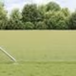 vidaXL Clôture en Fil Soudé avec 13 Poteaux en Piquet 0.5x50 m Acier Galvanisé