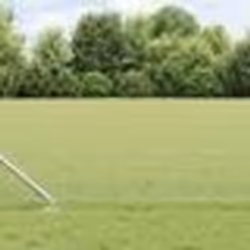 vidaXL Clôture en fil soudé avec 13 piquets d'ancrage 0.6x50 m en acier galvanisé