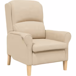 Ce fauteuil ergonomique est un super ajout à n'importe quel salon ou bureau. Pas juste un siège, c'est aussi une pièce stylée ...