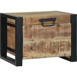 Vidaxl - Coffres de rangement 40x30x30cm en bois de manguier massif et métal